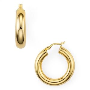 Argento Vivo Hold Hoops